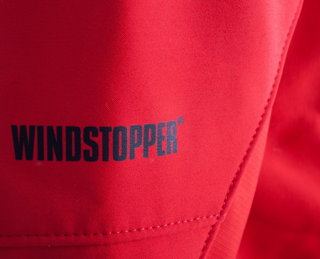 CAMPERA RAPTOR PRO