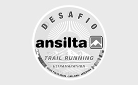 Desafio Ansilta Logo